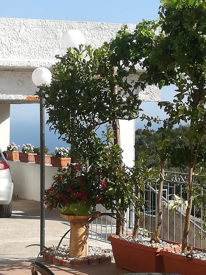 Bed and Breakfast Il Covo Delle Civette Vietri Zewnętrze zdjęcie