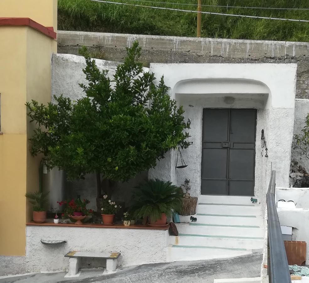 Bed and Breakfast Il Covo Delle Civette Vietri Zewnętrze zdjęcie