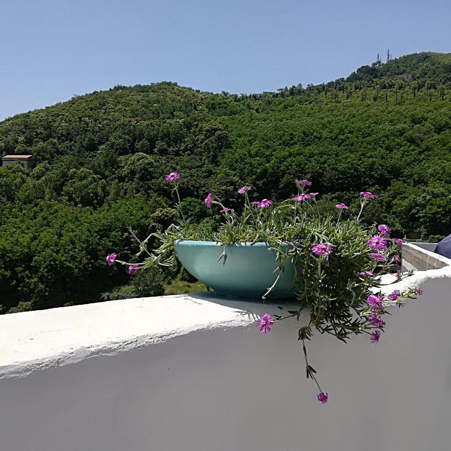 Bed and Breakfast Il Covo Delle Civette Vietri Zewnętrze zdjęcie