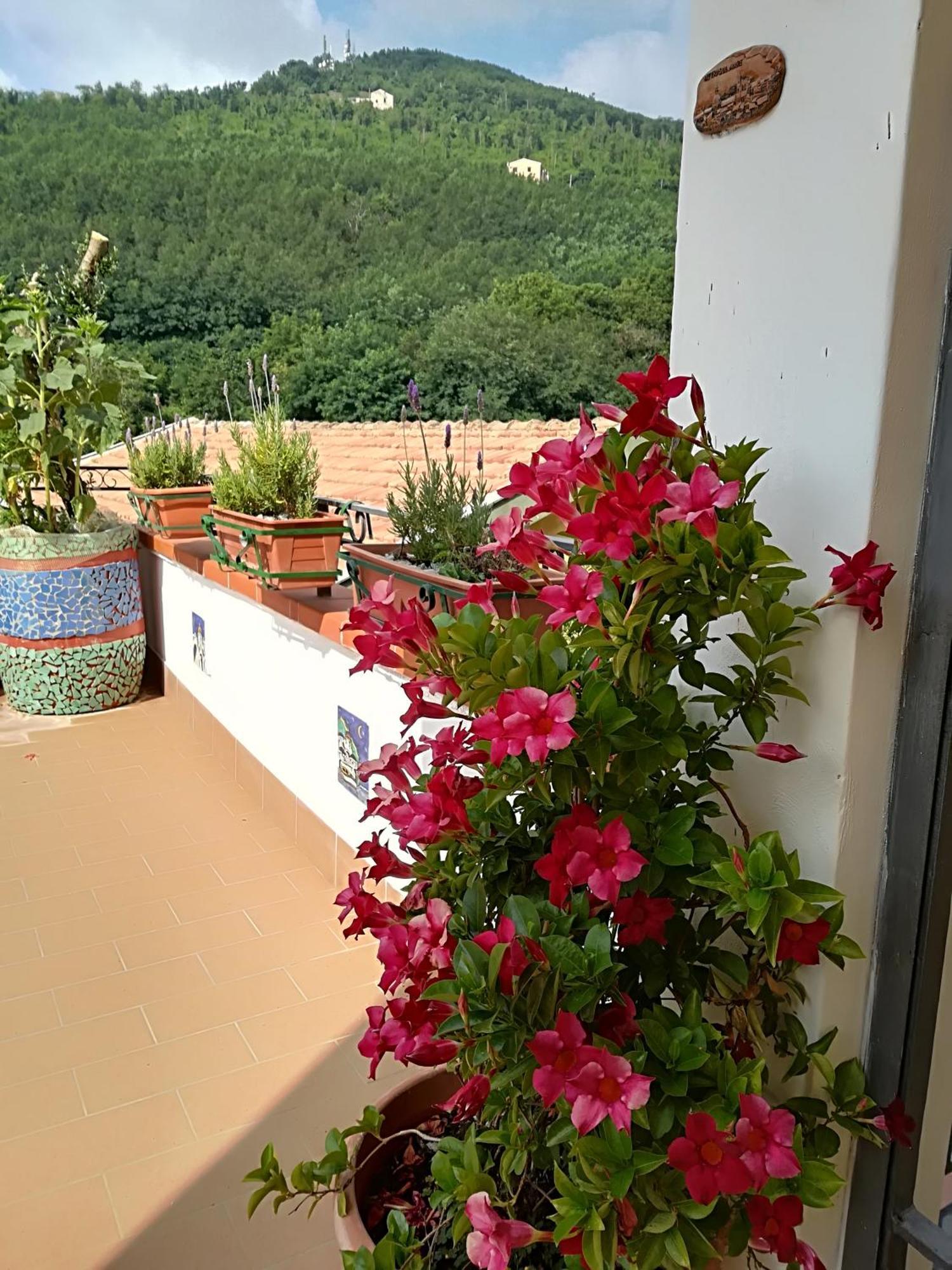 Bed and Breakfast Il Covo Delle Civette Vietri Zewnętrze zdjęcie