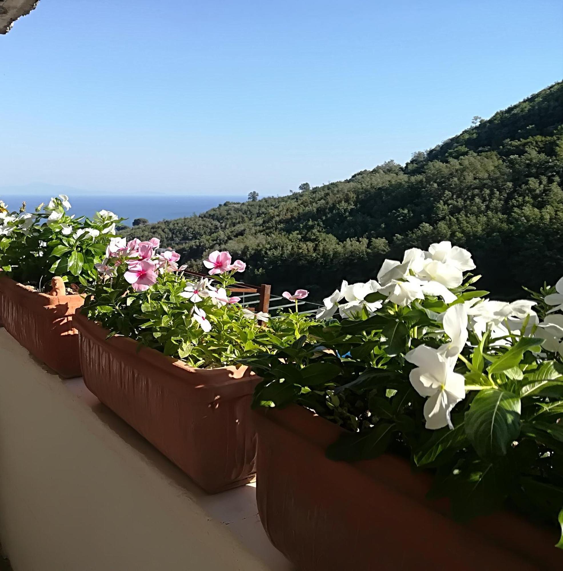 Bed and Breakfast Il Covo Delle Civette Vietri Zewnętrze zdjęcie