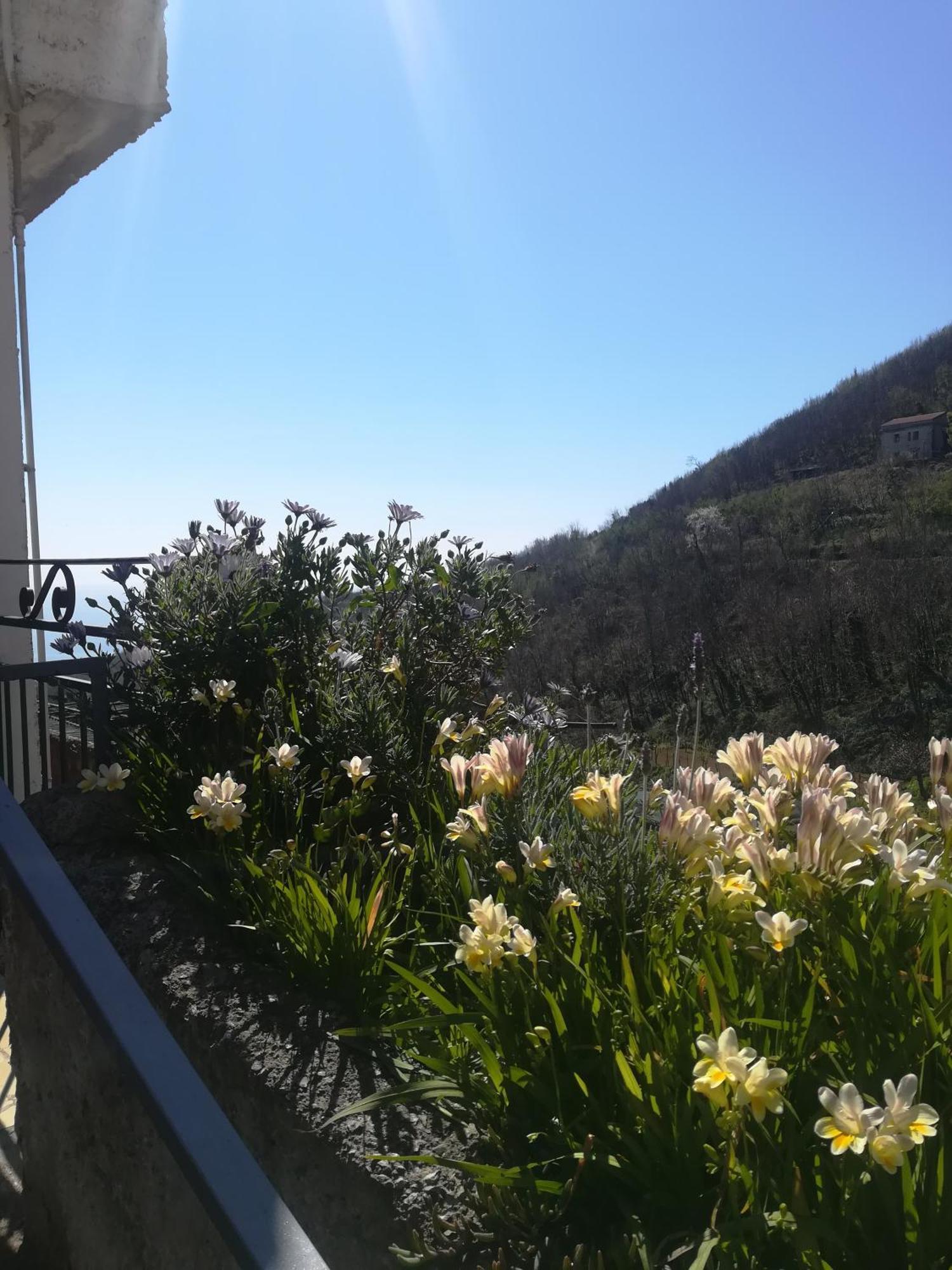 Bed and Breakfast Il Covo Delle Civette Vietri Zewnętrze zdjęcie
